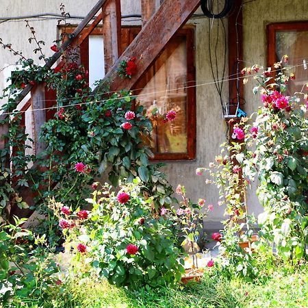 Nadia Guesthouse Mestia Luaran gambar