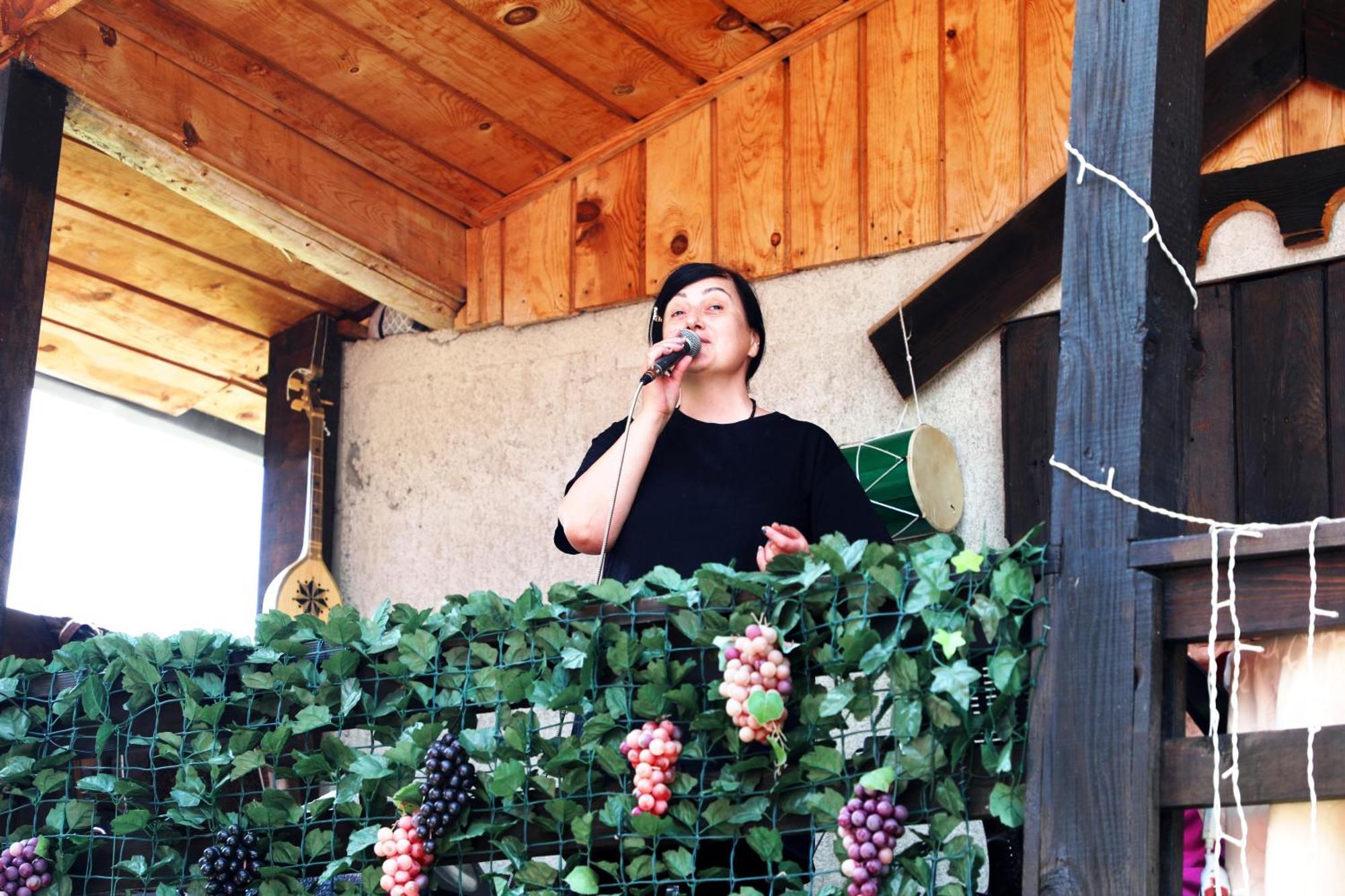 Nadia Guesthouse Mestia Luaran gambar