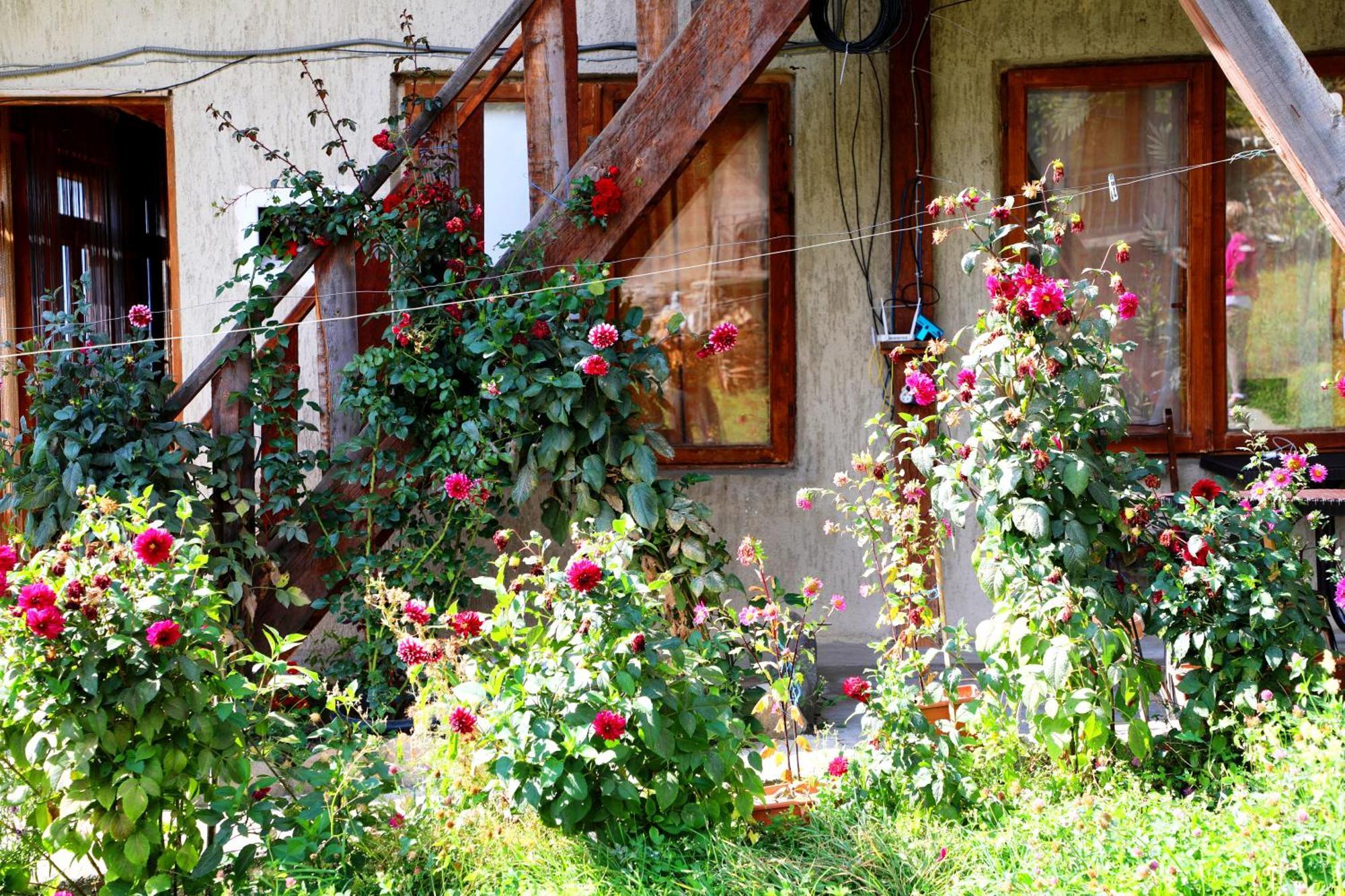 Nadia Guesthouse Mestia Luaran gambar